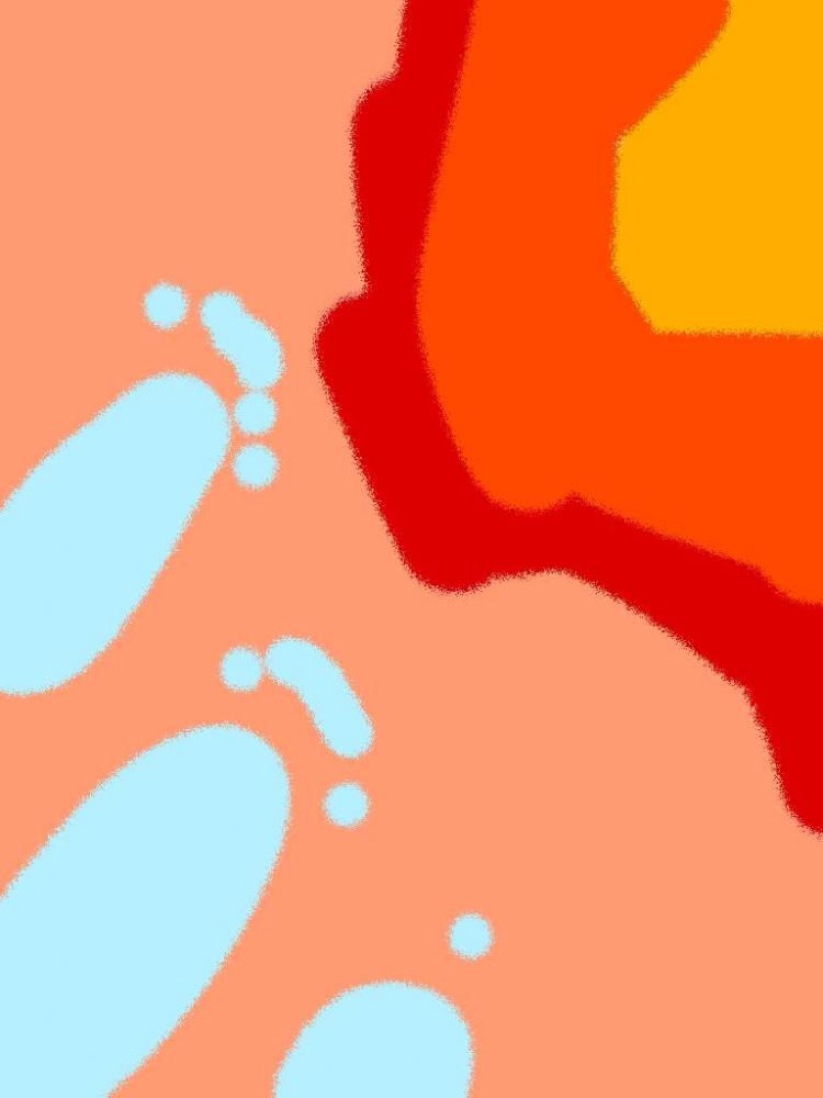 20250801-2
