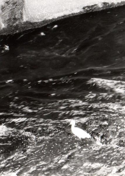 ファイル名: 2026.3.26-118-1.jpg
ファイルサイズ: 46.2KB 2026326-118-1